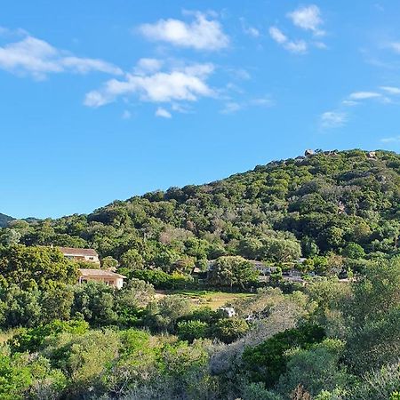 Bel Appartement Dans Hameau Calme Bonifacio  Luaran gambar